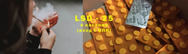 ECSTASY Бородино